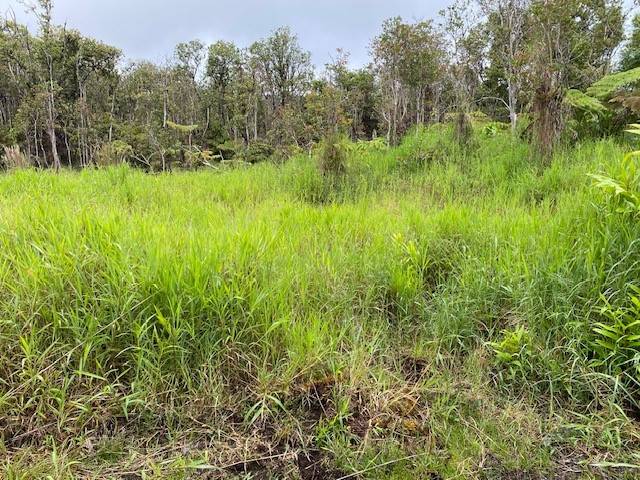 ROAD 6, Mountain View, HI 96771