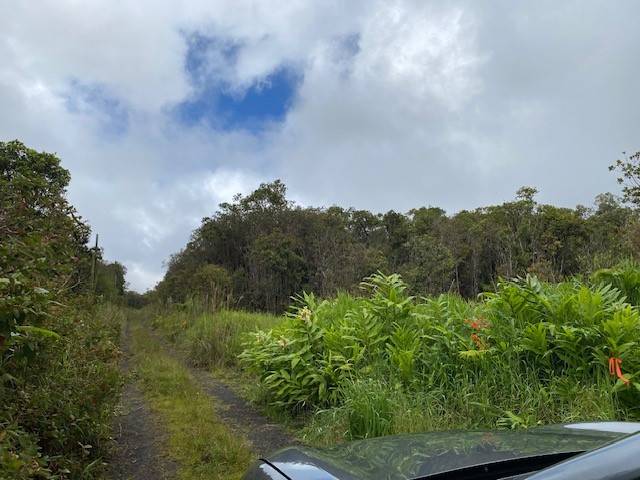 ROAD 6, Mountain View, HI 96771
