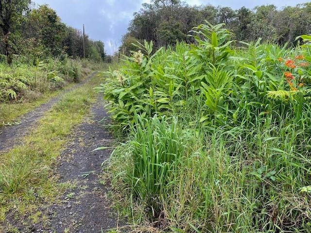 ROAD 6, Mountain View, HI 96771