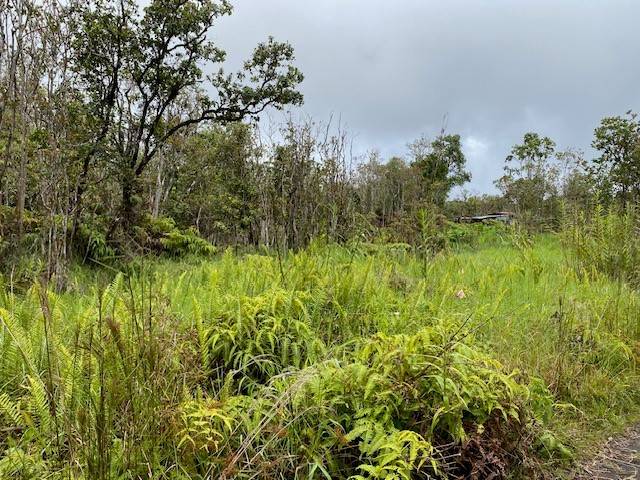 ROAD 6, Mountain View, HI 96771