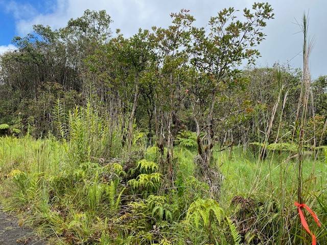 ROAD 6, Mountain View, HI 96771