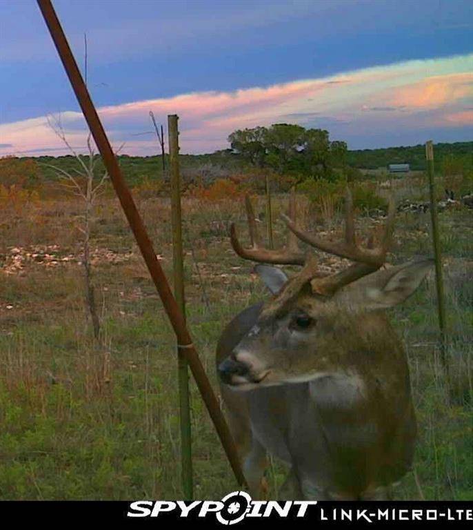 3402 County Road 196, Blackwell, TX 79506