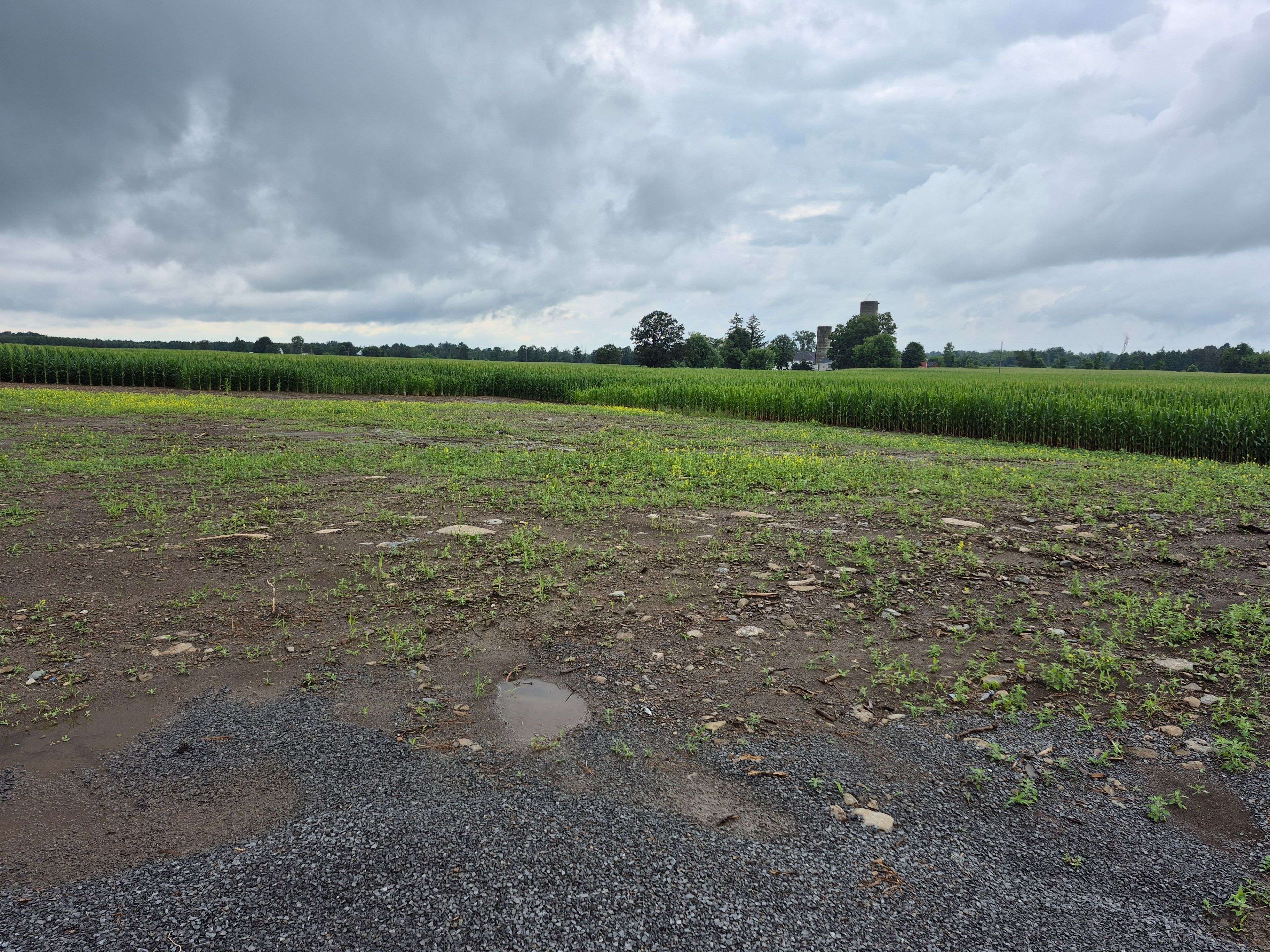 7938 Bank ST S, Greely - Metcalfe - Osgoode - Vernon And Area, ON K0A 2P0