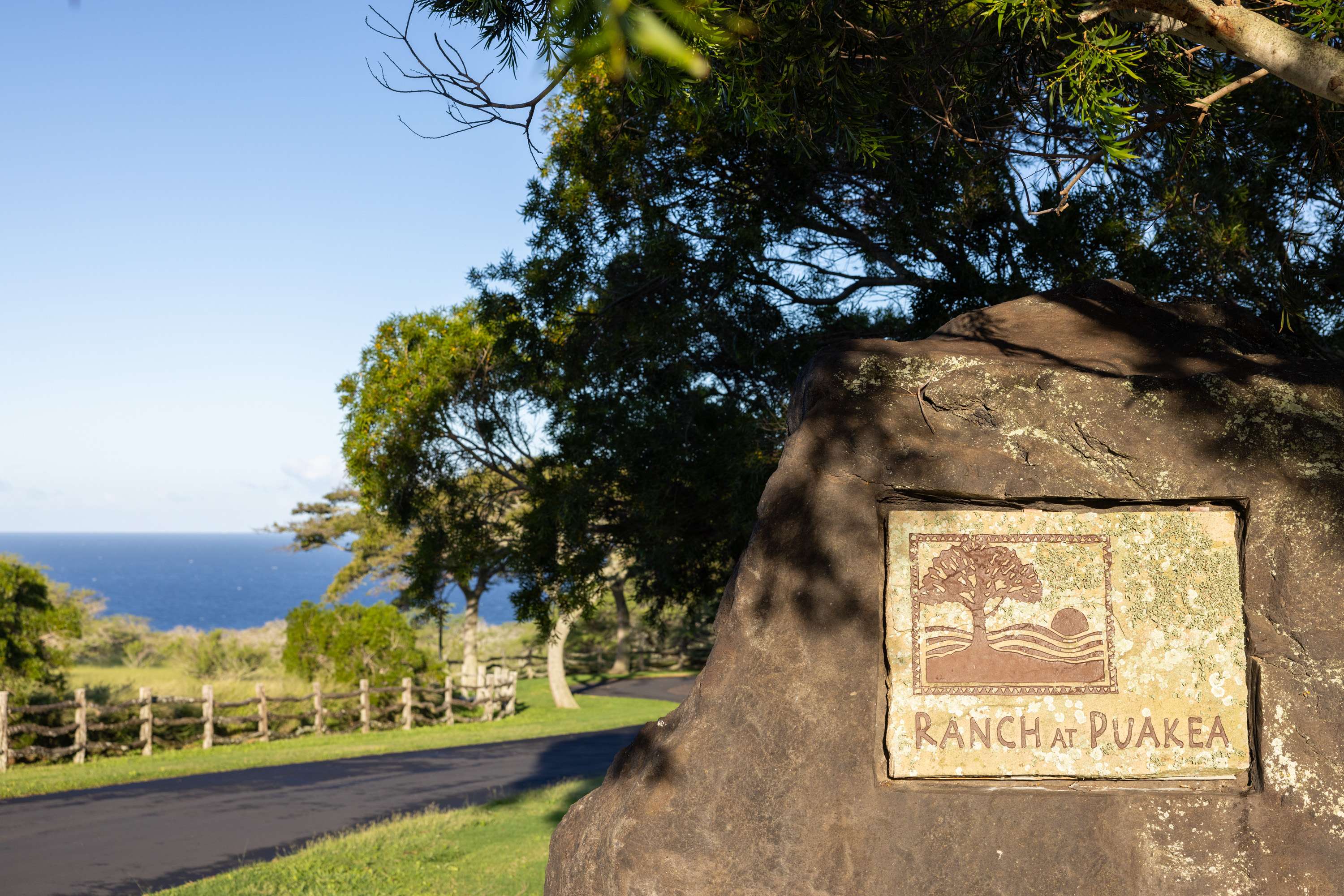 56-175 PUALANI RD, Hawi, HI 96719