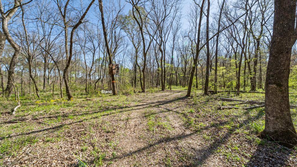 TBD County Road 462, Mineola, TX 75773