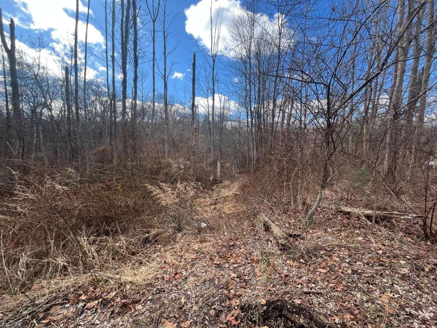 221 Old Center Grove Rd, Randolph Twp., NJ 07869
