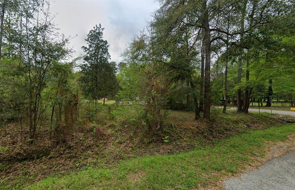 25 County Road 3709 #25, No City, TX 77372