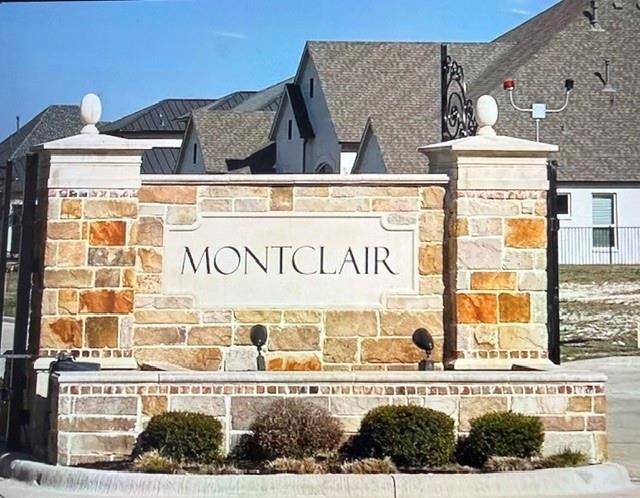 1421 Copper Point Drive, Prosper, TX 75078