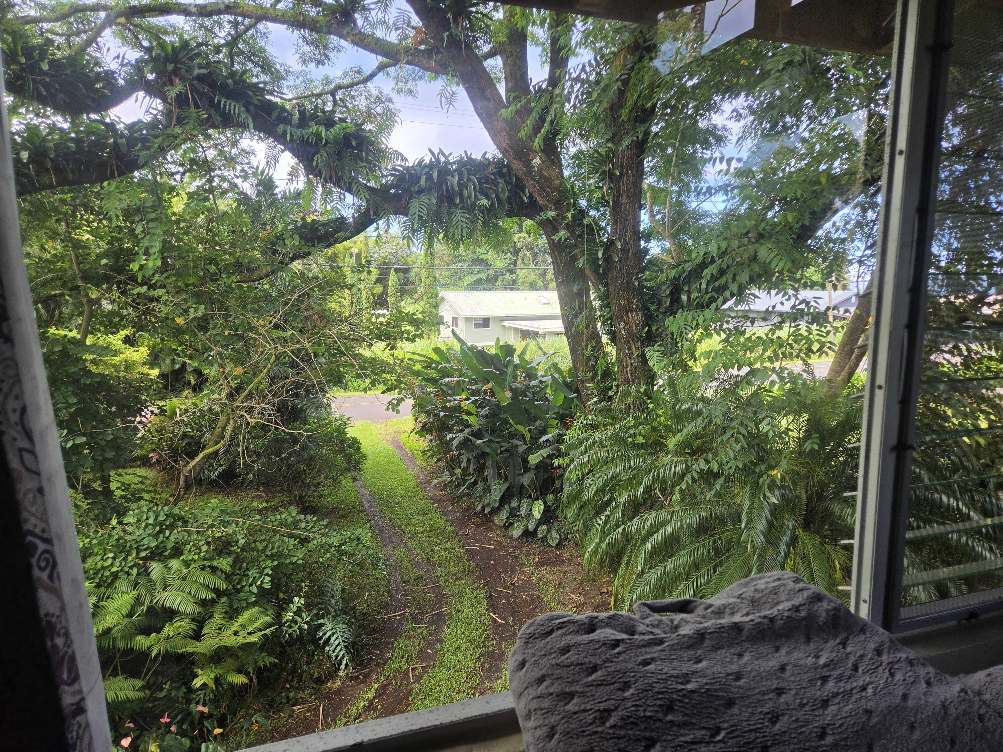 17-4013 KUAAINA RD, Kurtistown, HI 96760