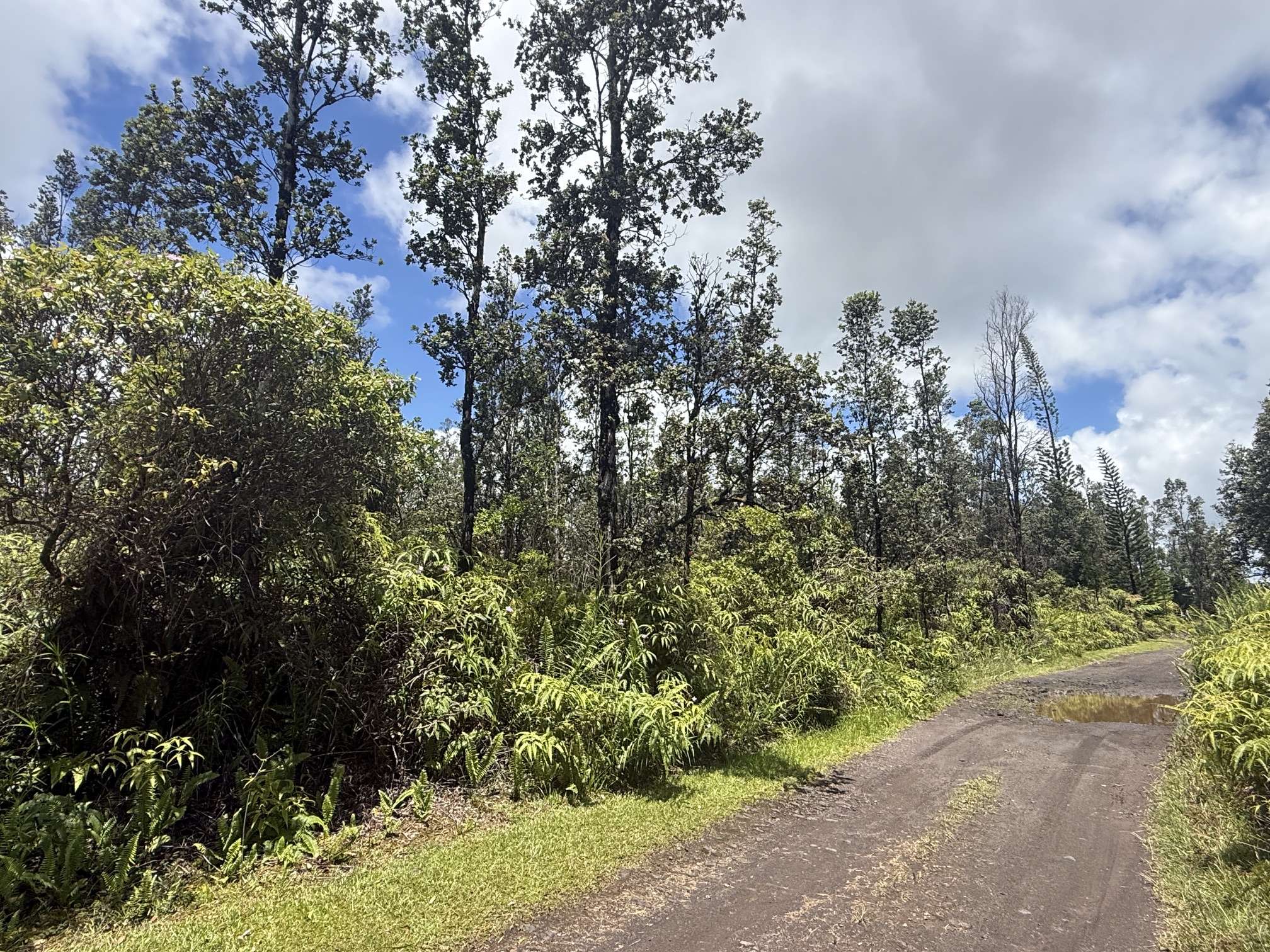 ROAD 7 (OPEAPEA), Kurtistown, HI 96760