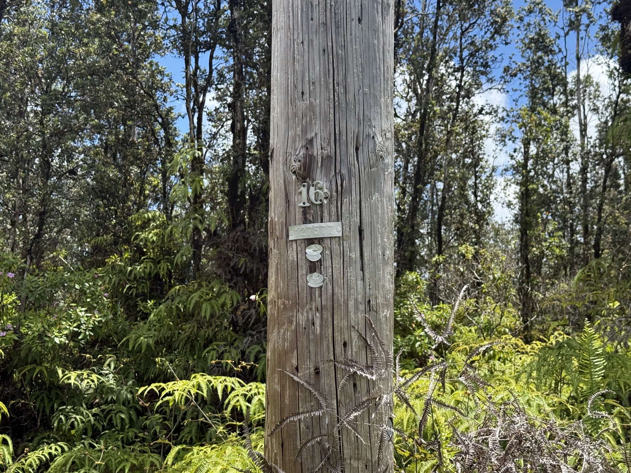 ROAD 7 (OPEAPEA), Kurtistown, HI 96760