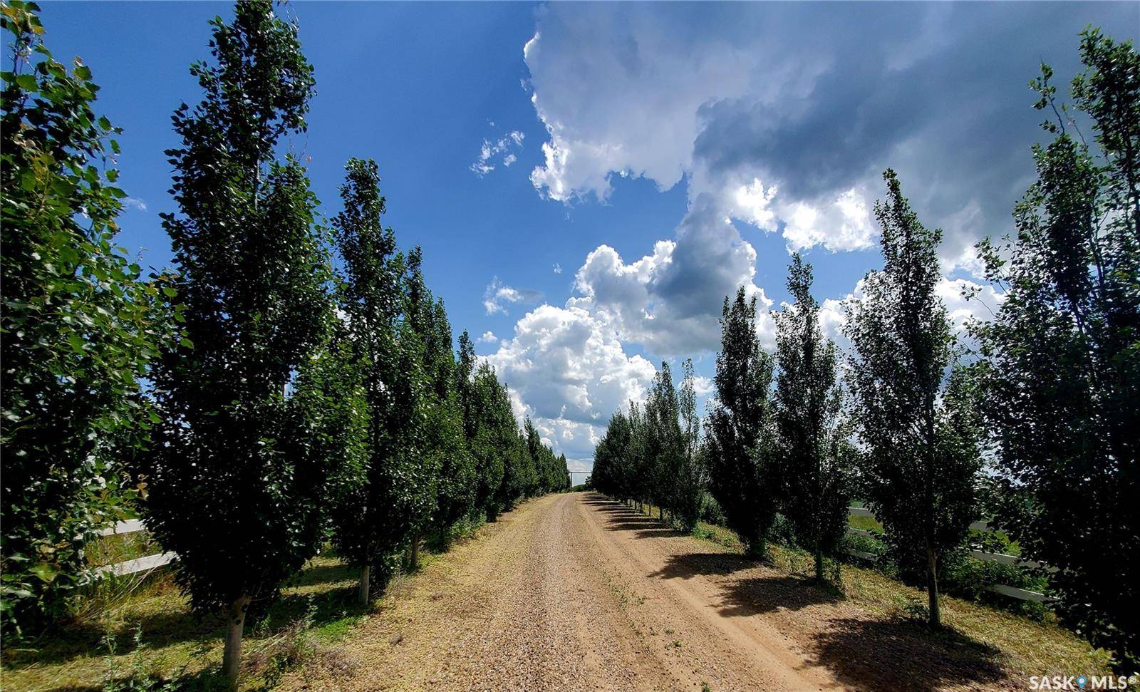 Rural Address, Neville, SK S0N 1T0