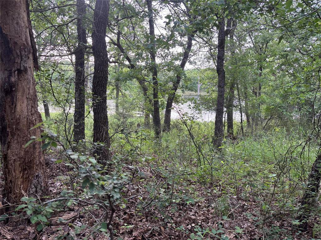 153 Post Oak Cove, Sunset, TX 76270