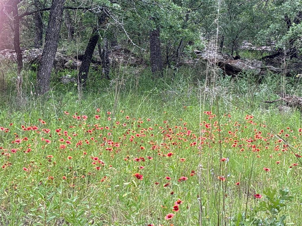 153 Post Oak Cove, Sunset, TX 76270