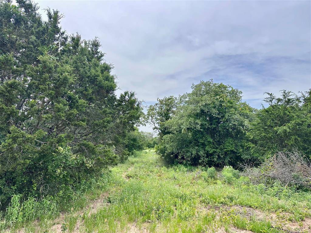 997 Private Road 4691, Baird, TX 79504