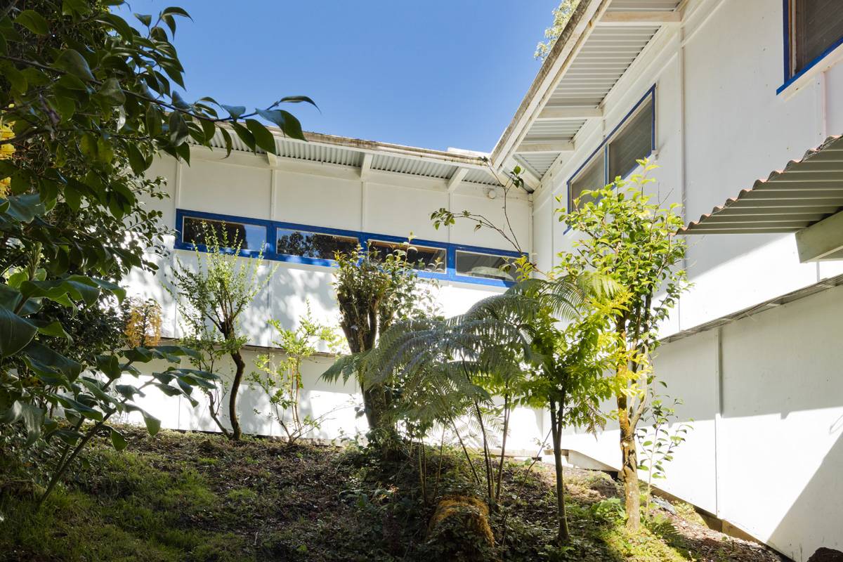 19-4301 HAUNANI RD, Volcano, HI 96785