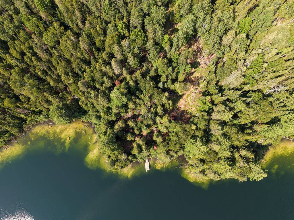 382 Old Detlor RD, Bancroft, ON K0L 2L0