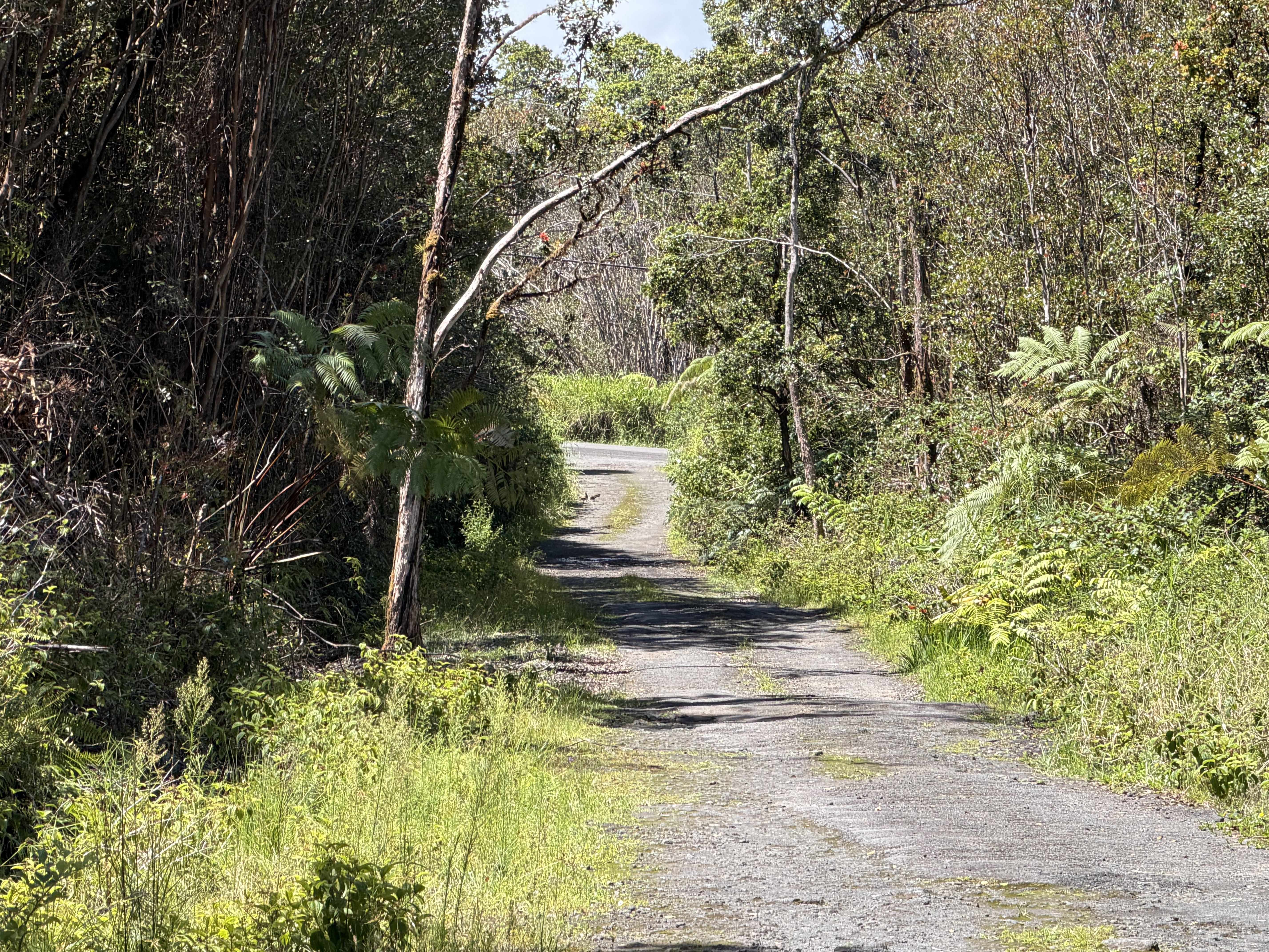 ROAD 7, Mountain View, HI 96771