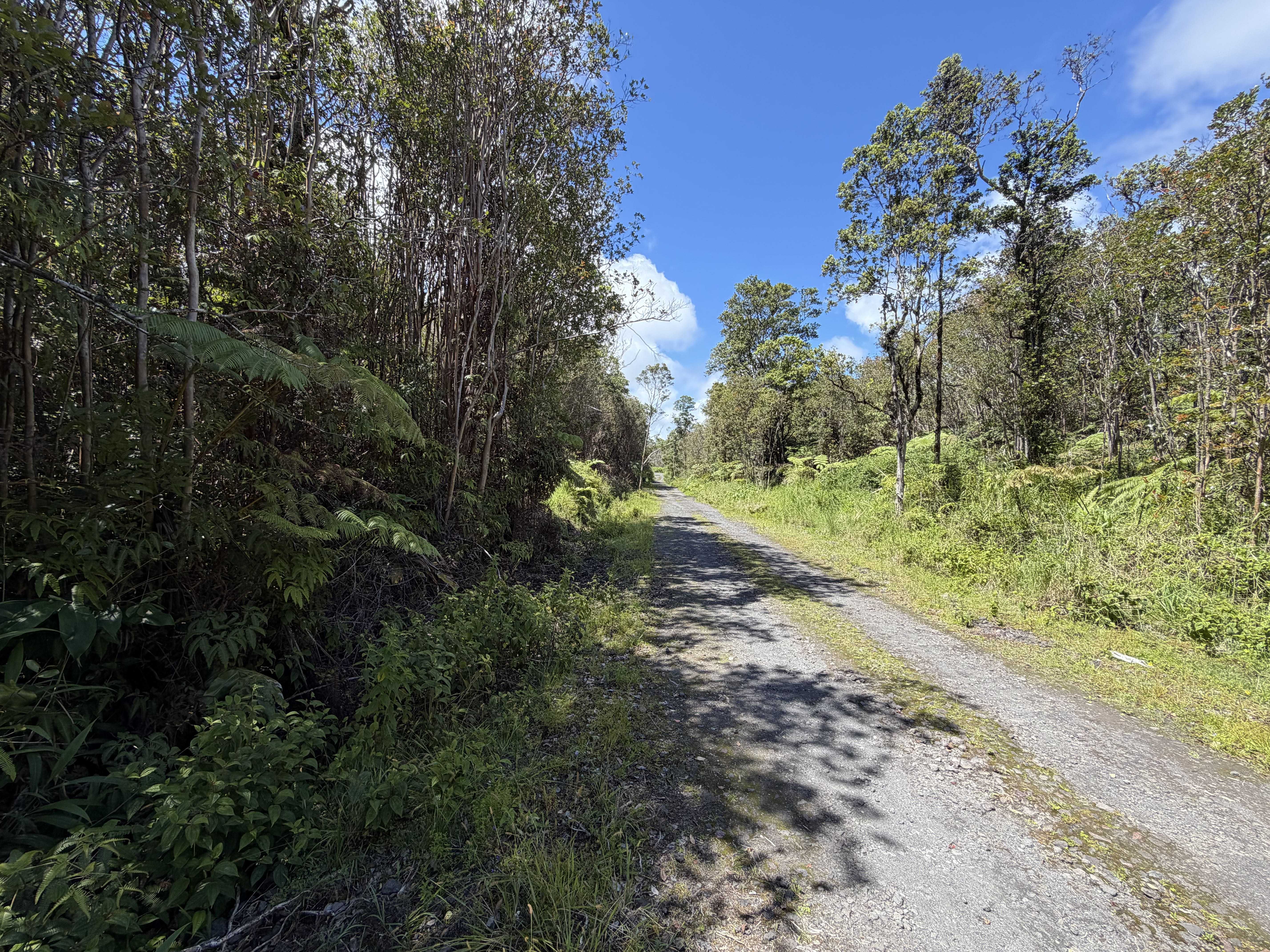 ROAD 7, Mountain View, HI 96771