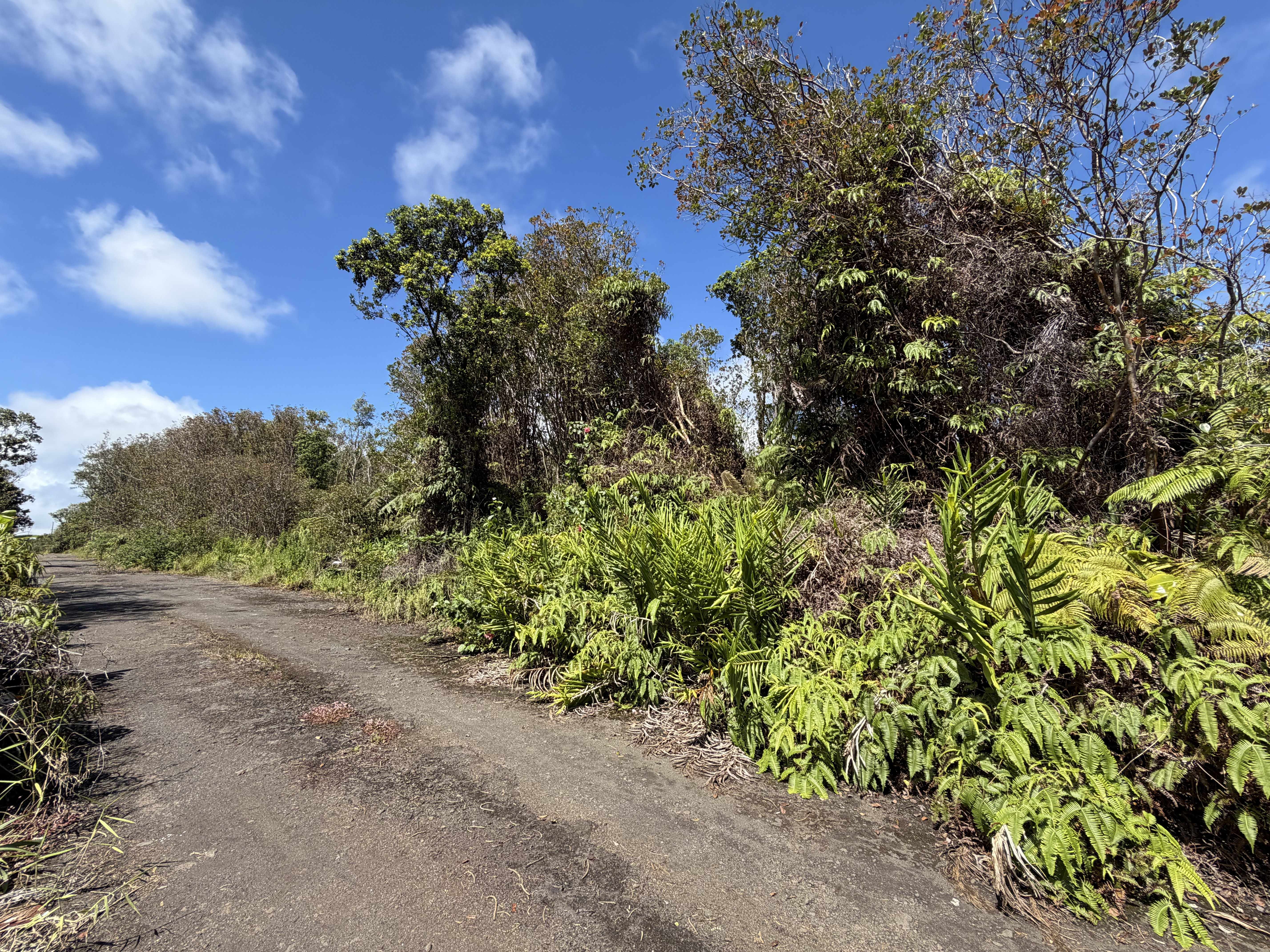 ROAD 12, Mountain View, HI 96771