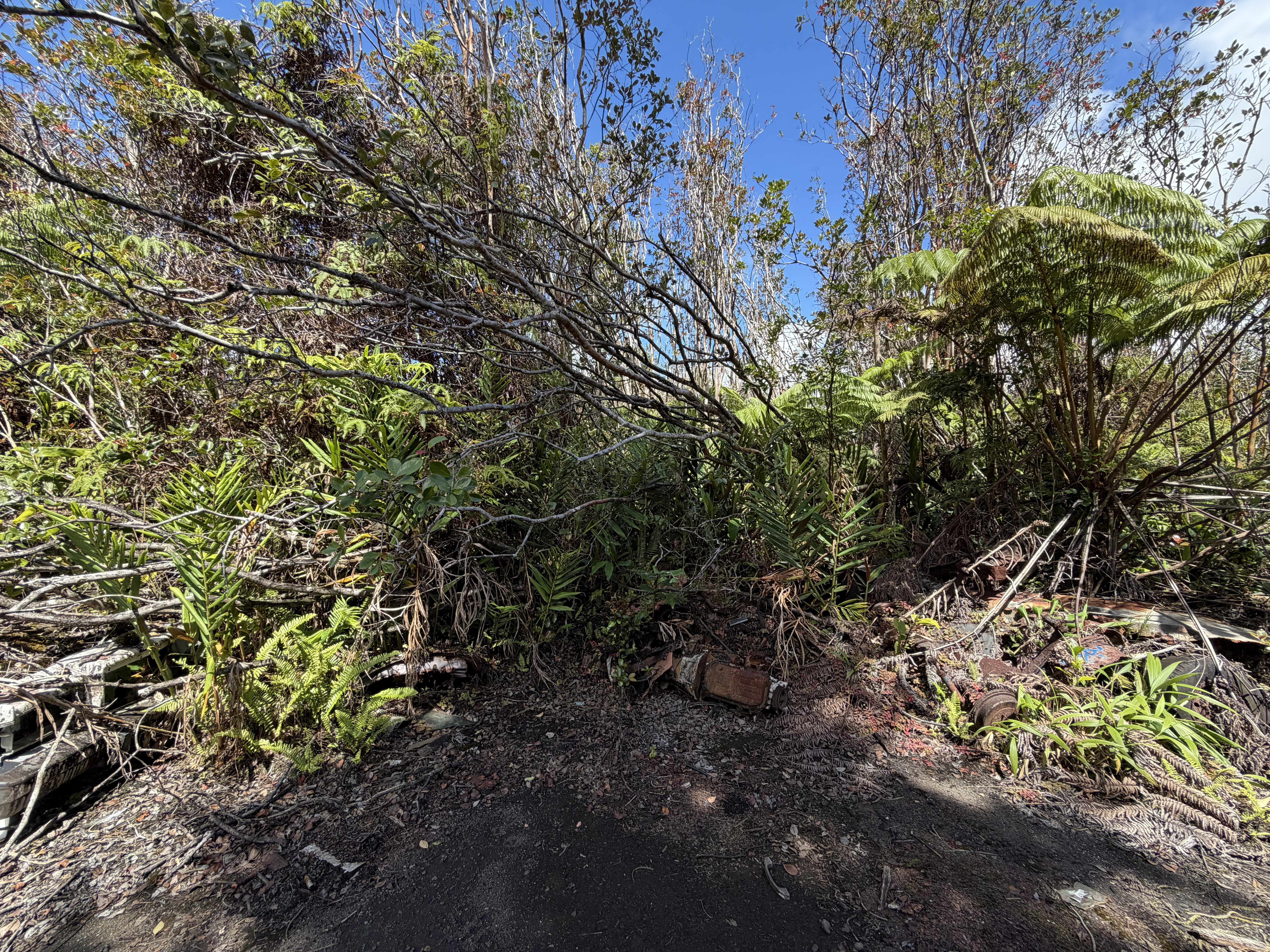 ROAD 12, Mountain View, HI 96771