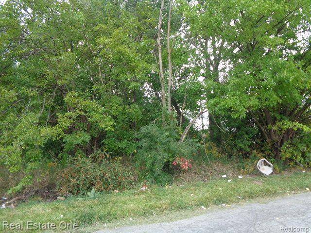 2628 HUNT ST, Detroit, MI 48207