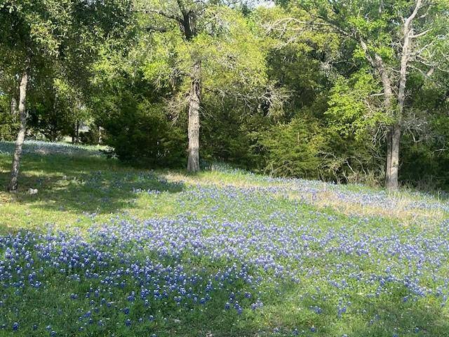 22161 Shady Grove Court, Whitney, TX 76692