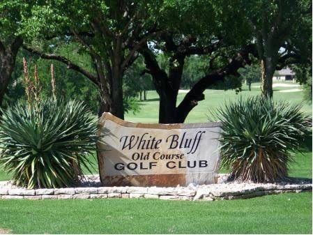 22161 Shady Grove Court, Whitney, TX 76692