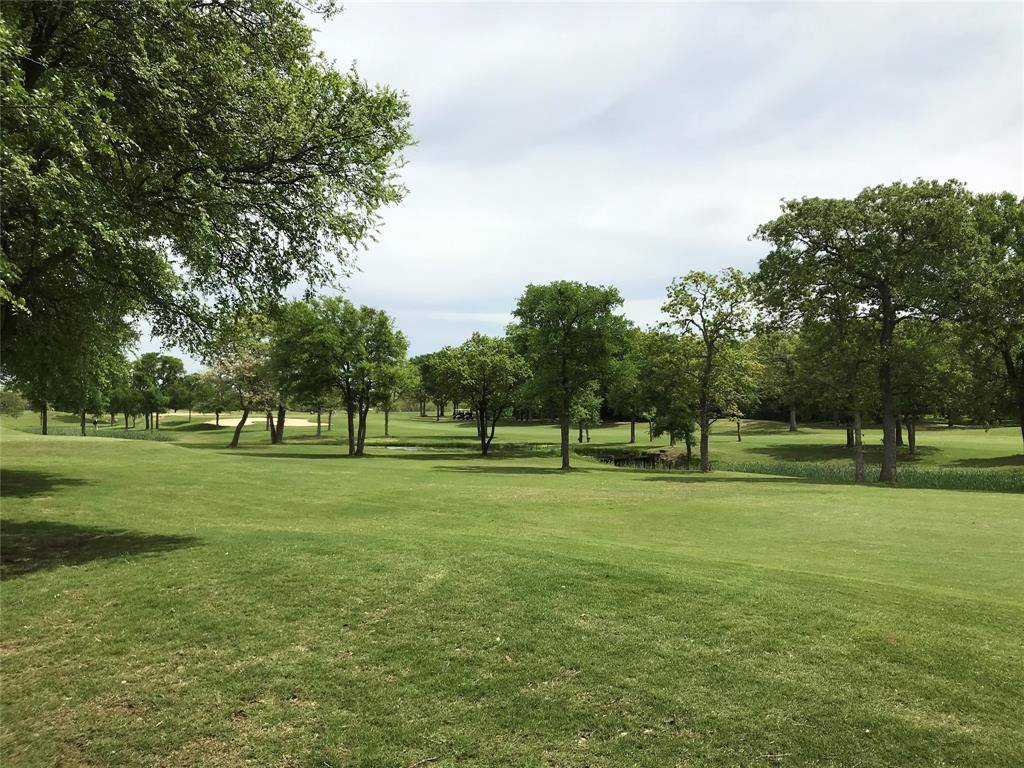 22161 Shady Grove Court, Whitney, TX 76692