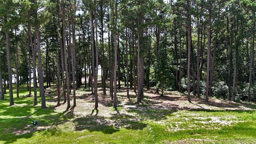 Lot 340 Grand View Drive, Athens, TX 75752