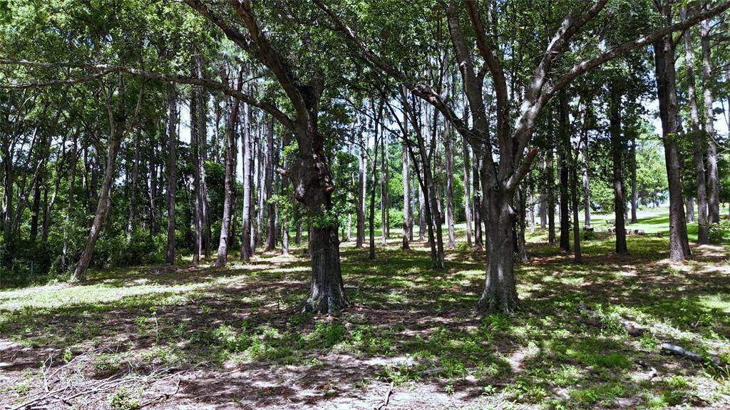 Lot 340 Grand View Drive, Athens, TX 75752