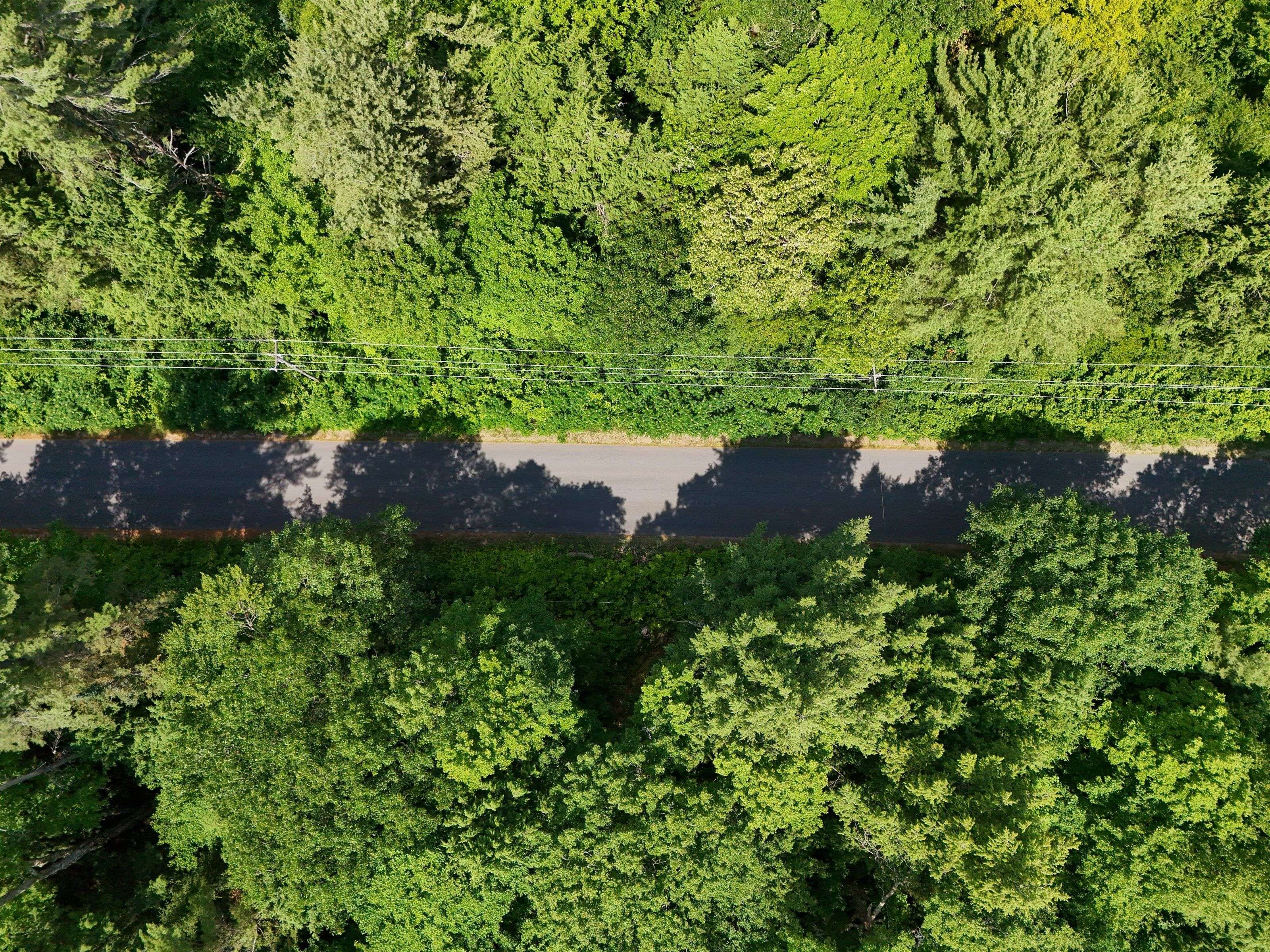 1098 Old Hwy 117 N/A, Lake Of Bays, ON P0B 1A0