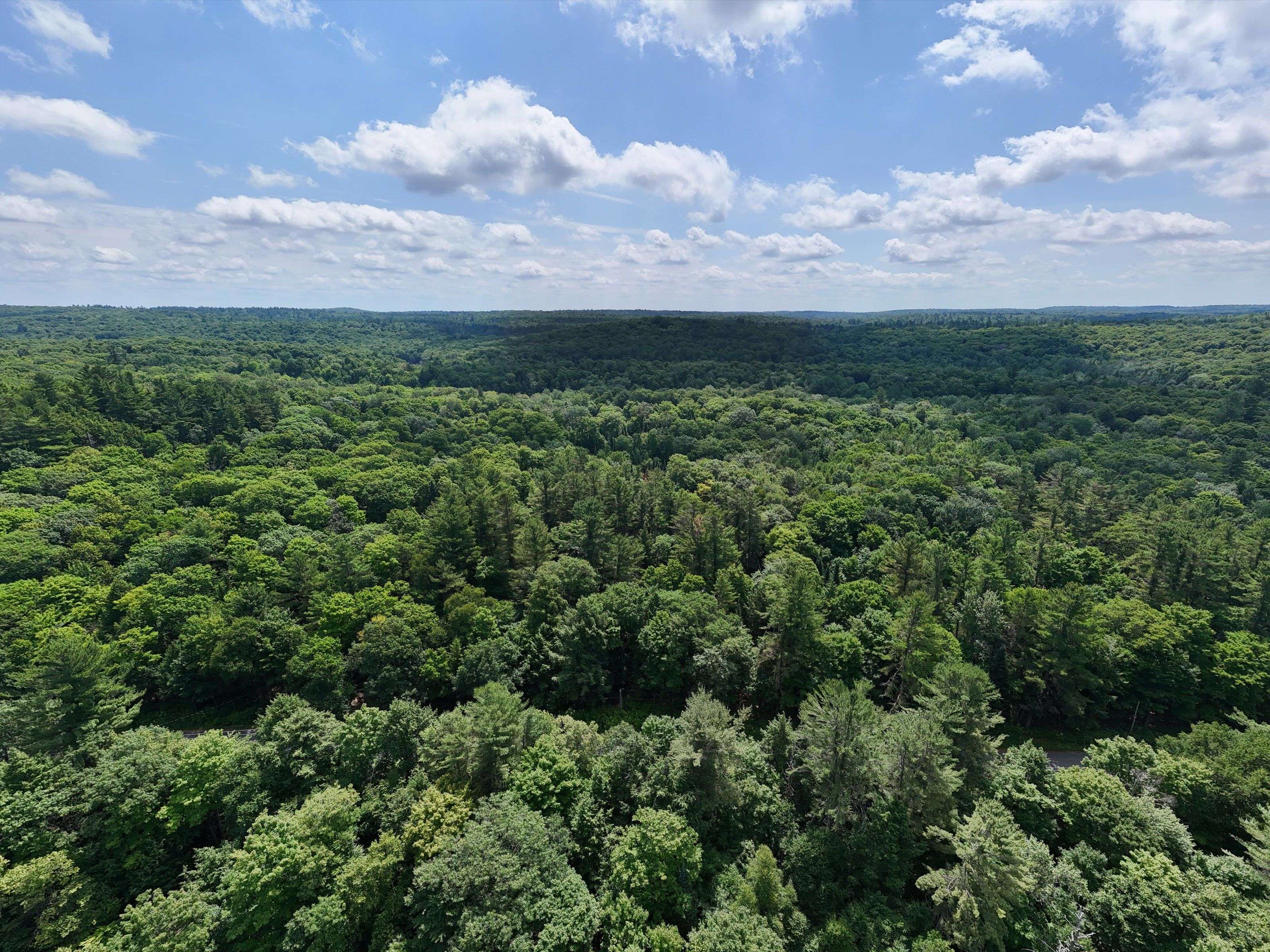 1098 Old Hwy 117 N/A, Lake Of Bays, ON P0B 1A0