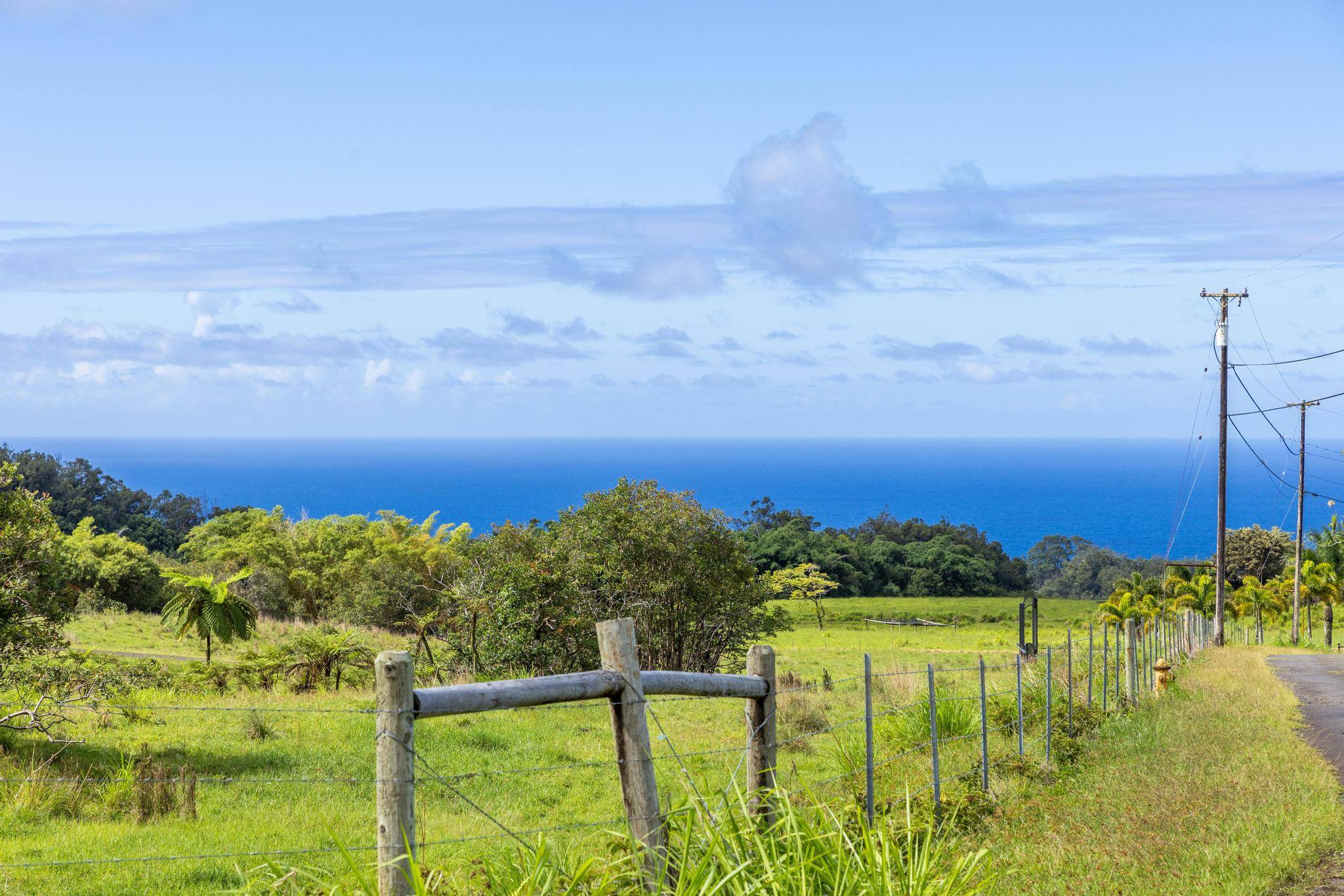 29-609 CHIN CHUCK RD, Hakalau, HI 96710