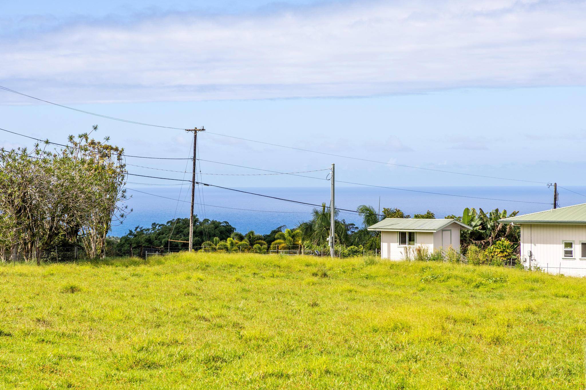 29-609 CHIN CHUCK RD, Hakalau, HI 96710