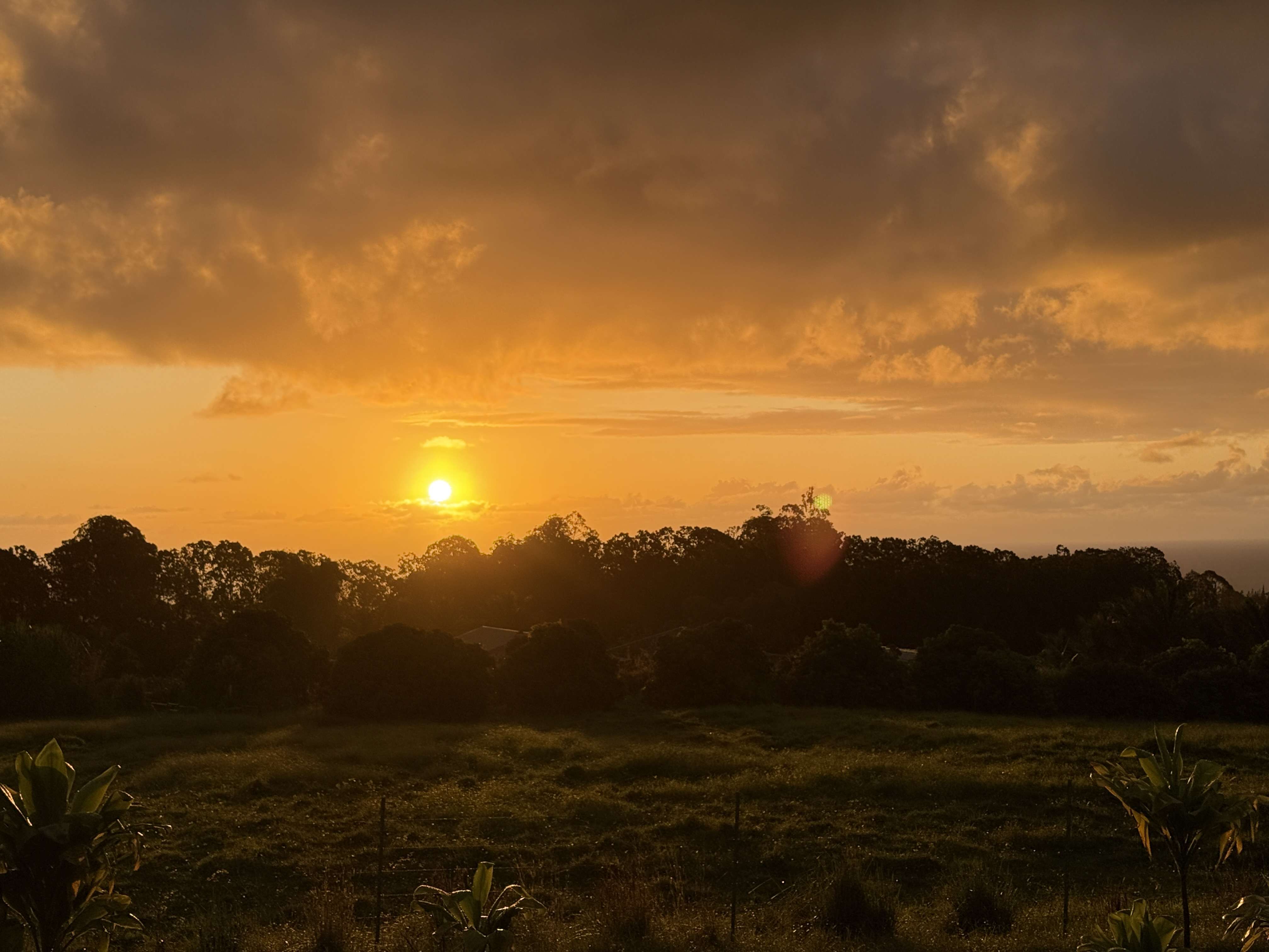 29-609 CHIN CHUCK RD, Hakalau, HI 96710