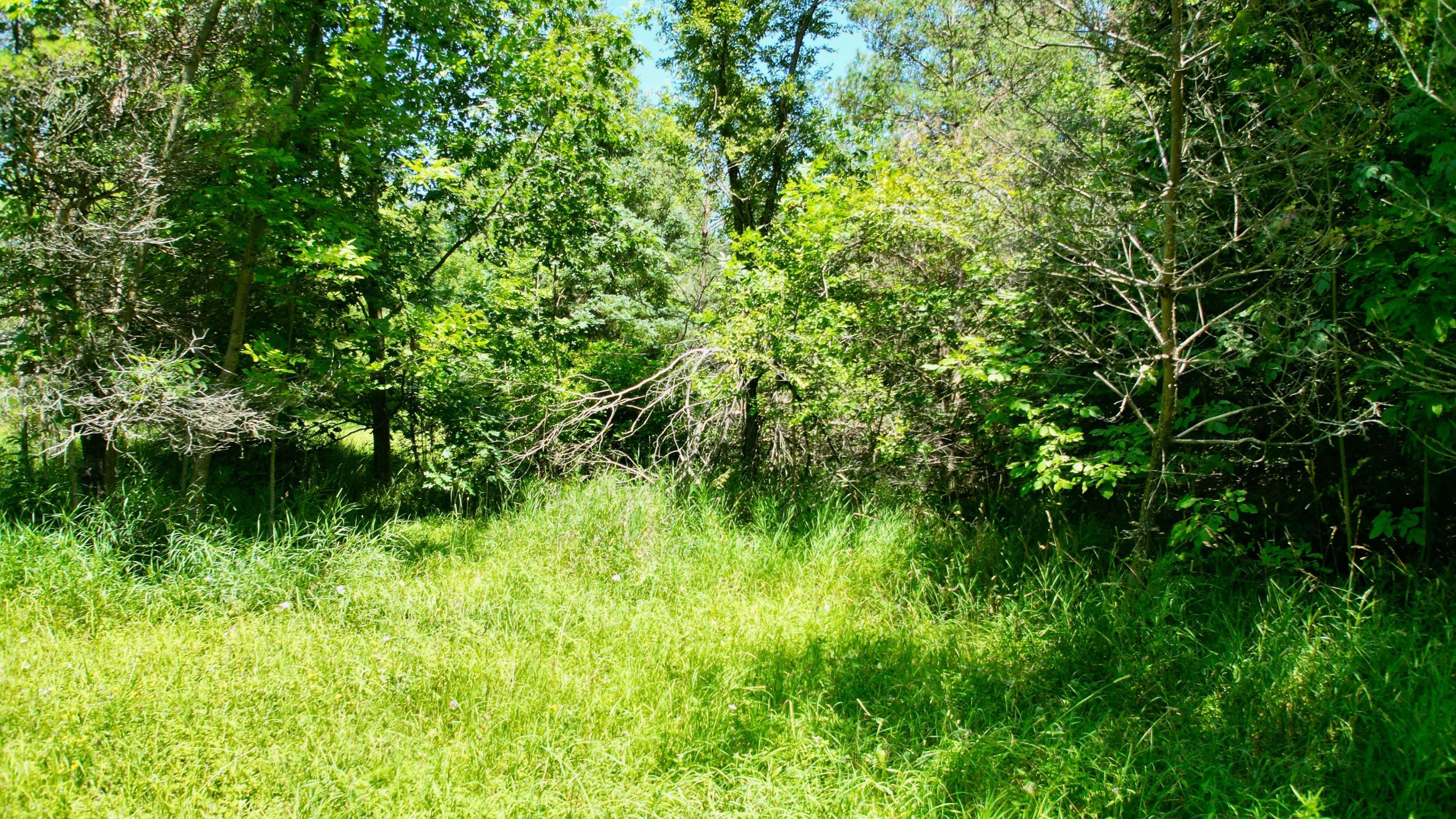 Part 1 & 2 Purple Valley RD, South Bruce Peninsula, ON N0H 2T0