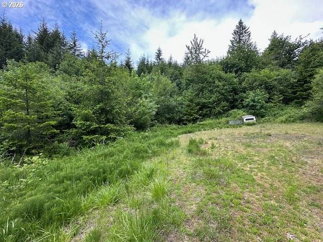 257 SERENITY LN, Kalama, WA 98625