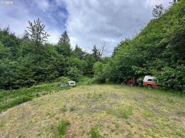 257 SERENITY LN, Kalama, WA 98625