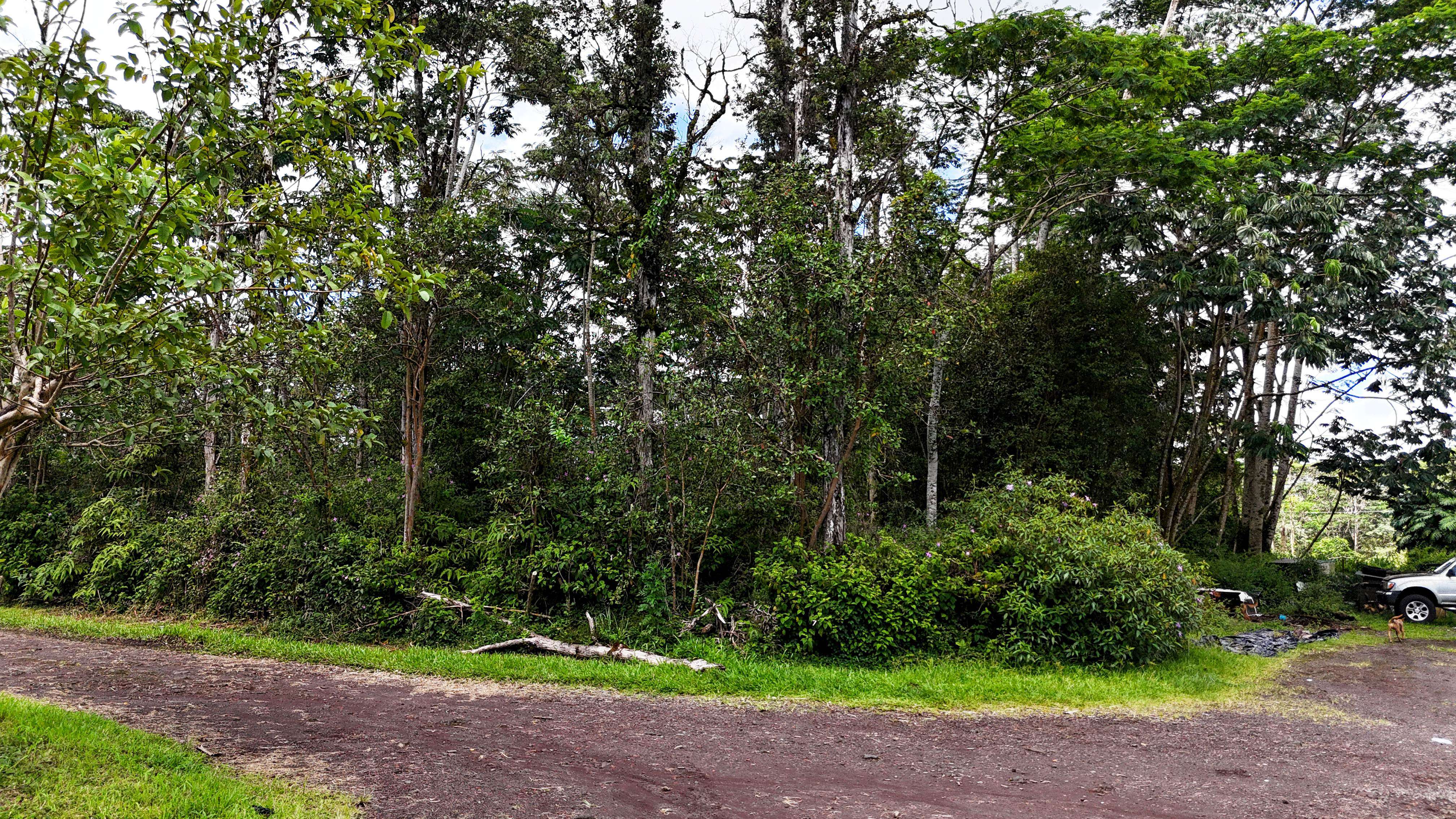 SILVERSWORD CT, Kurtistown, HI 96760