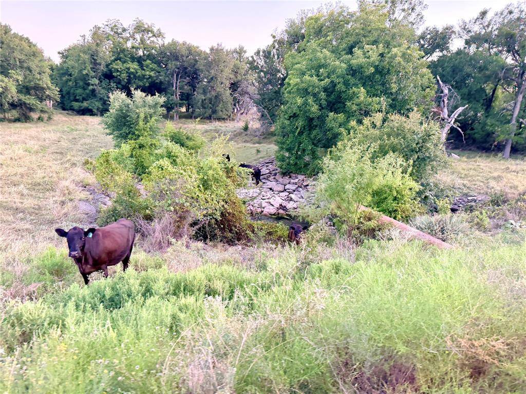 130 County Road 120, Goldthwaite, TX 76844