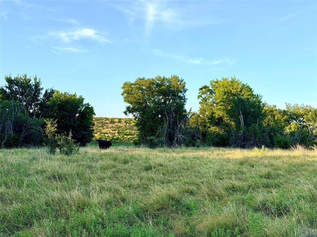 130 County Road 120, Goldthwaite, TX 76844