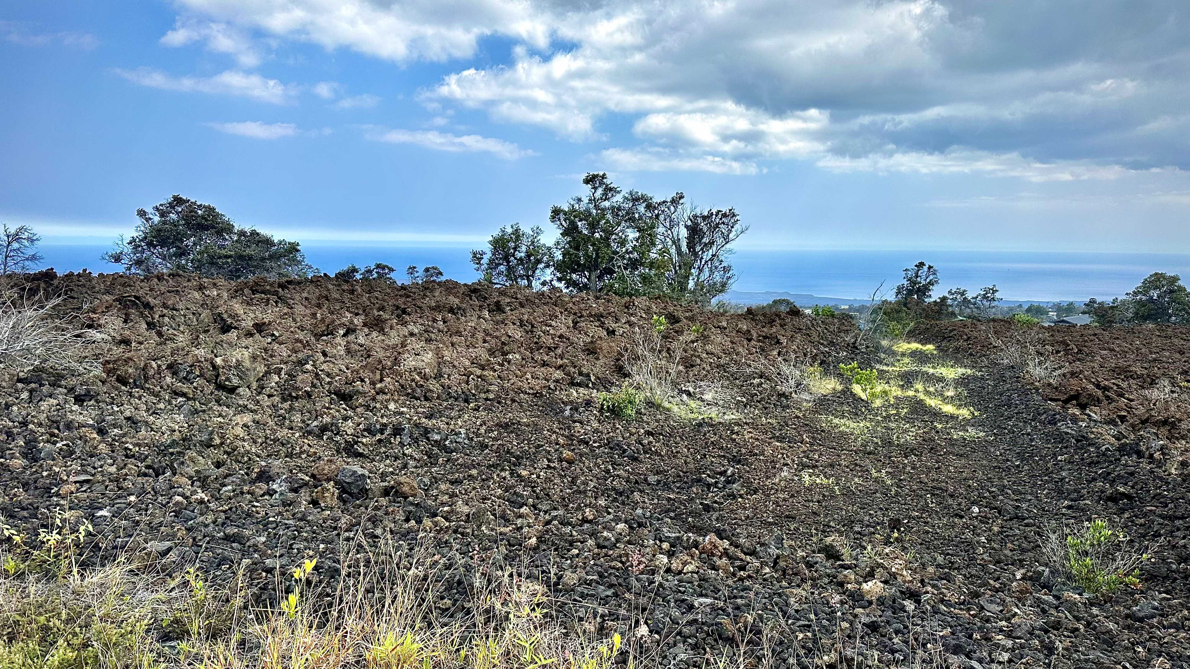 BOUGAINVILLAEA DR, Ocean View, HI 96737