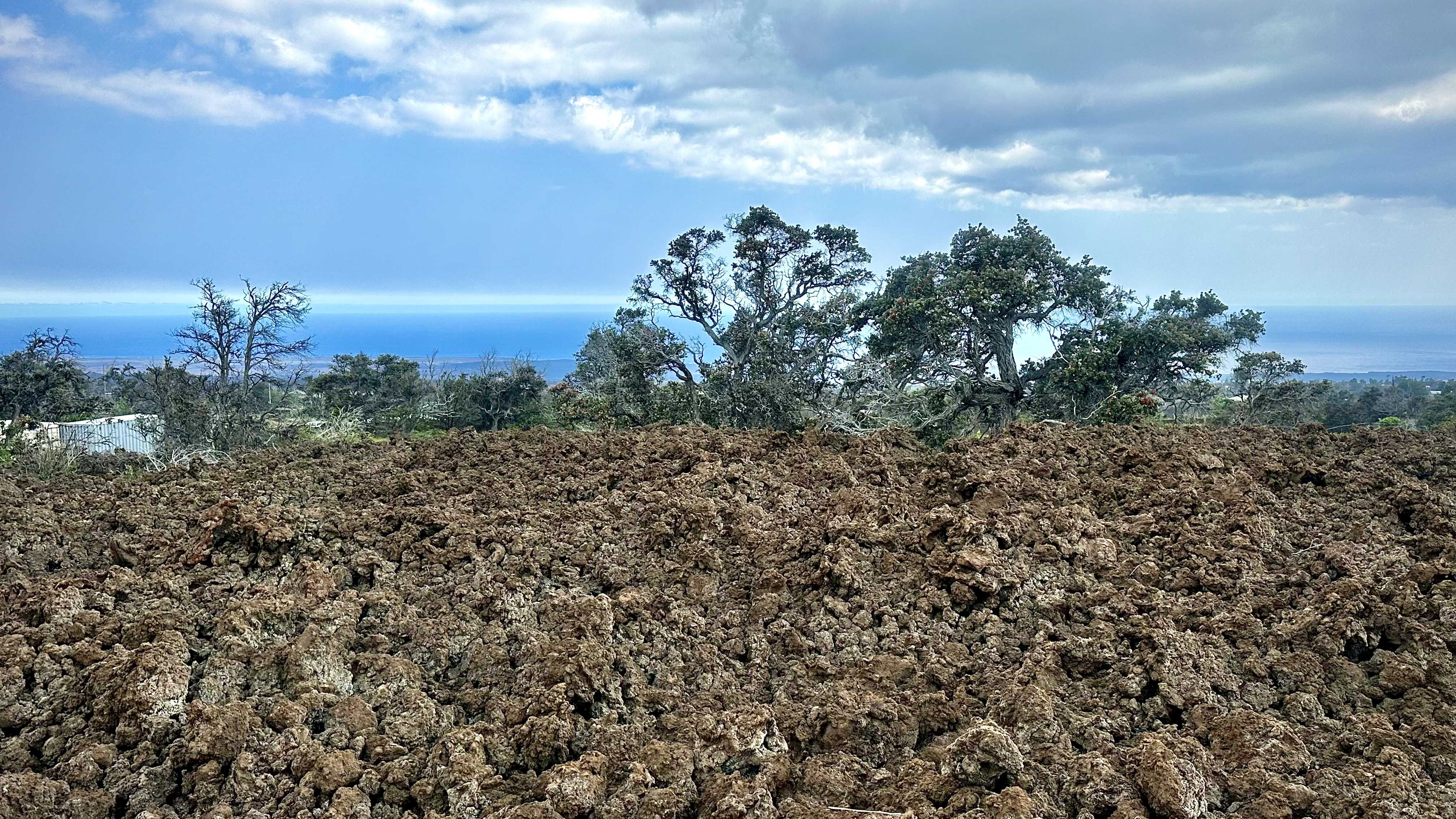 BOUGAINVILLAEA DR, Ocean View, HI 96737