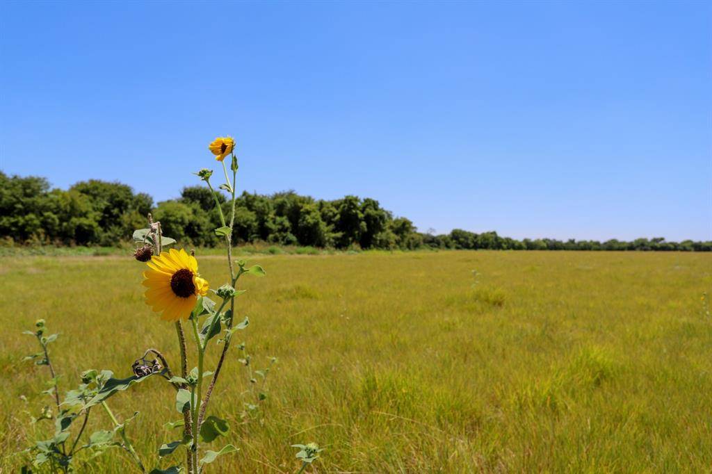TBD New Windsor Parkway, Mcgregor, TX 76657