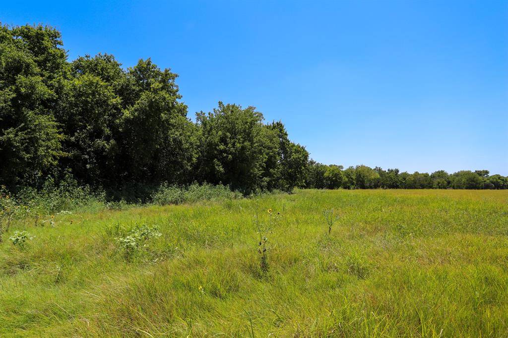 TBD New Windsor Parkway, Mcgregor, TX 76657