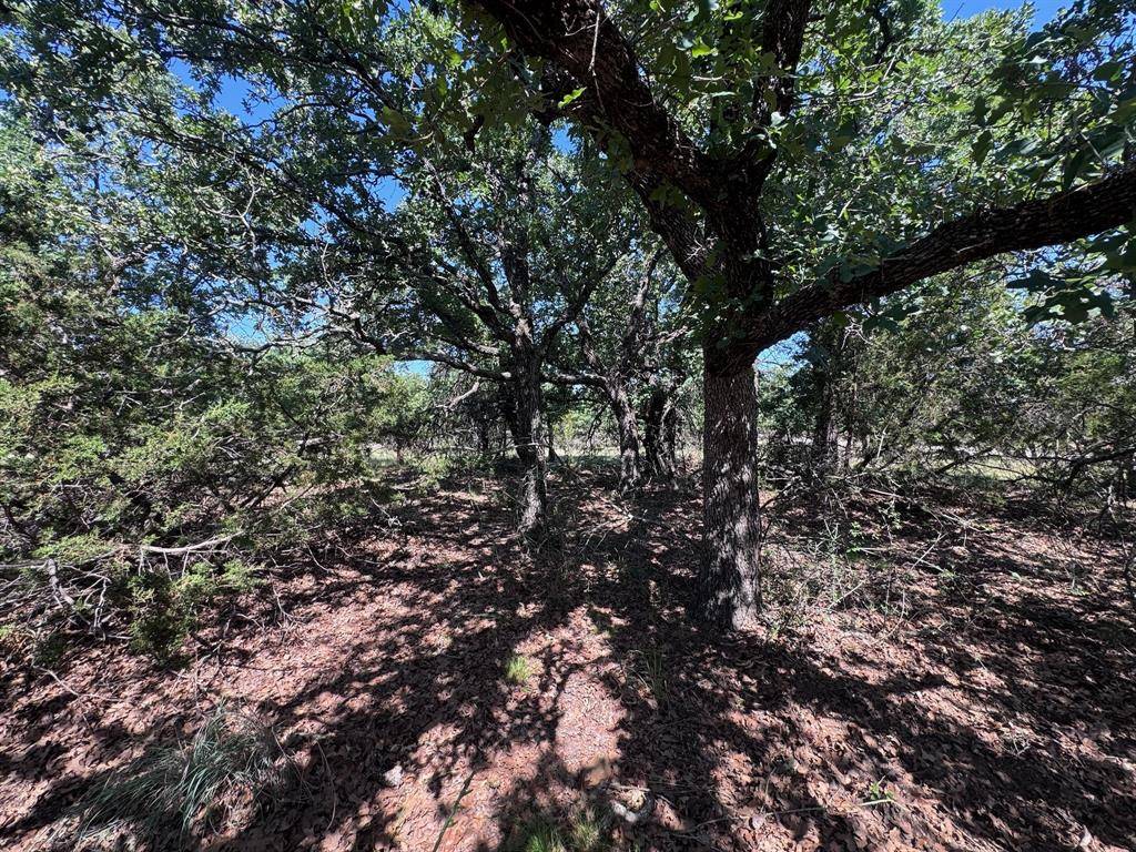 A10 Glenhollow Drive, Gordon, TX 76453