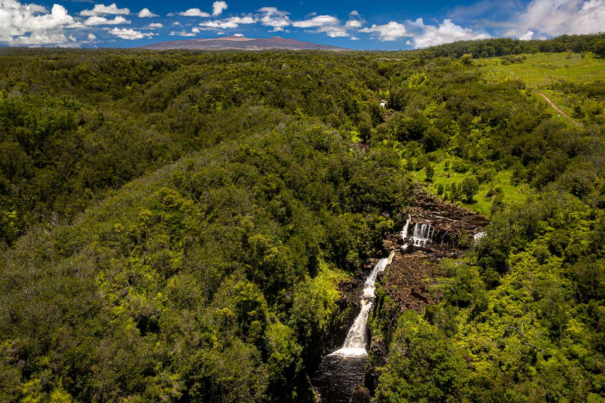 27-640 LA RD, Papaikou, HI 96781