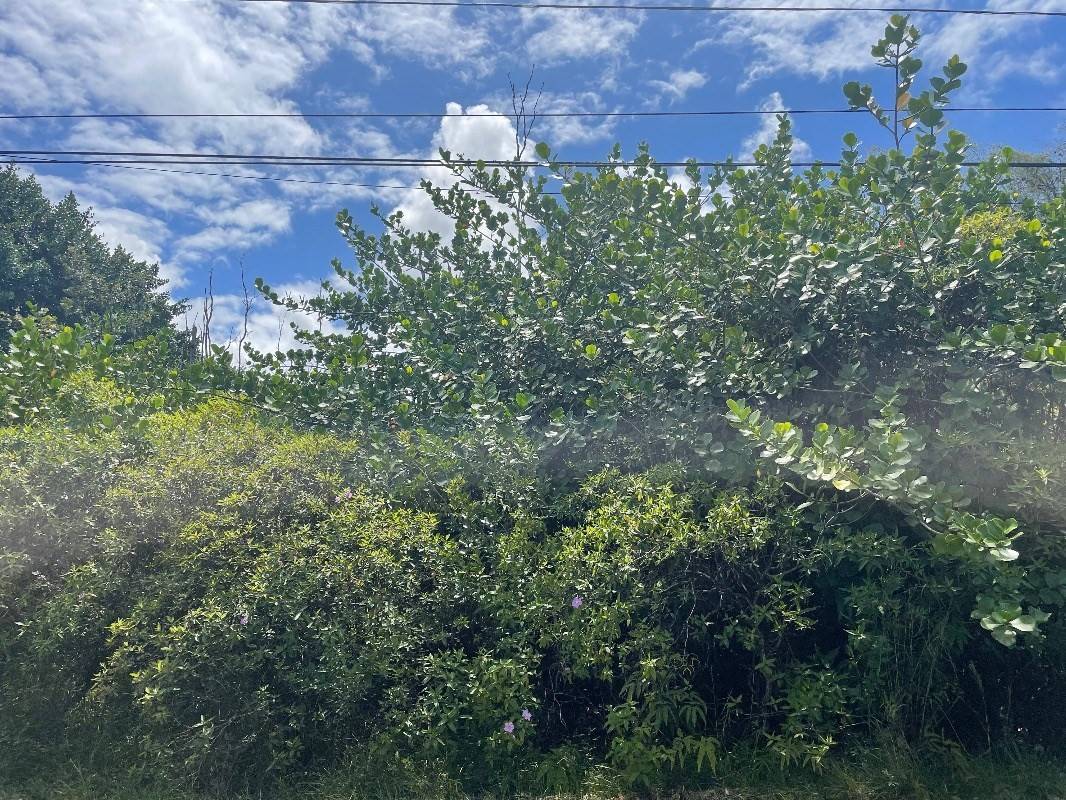 PAHOA RD, Pahoa, HI 96778
