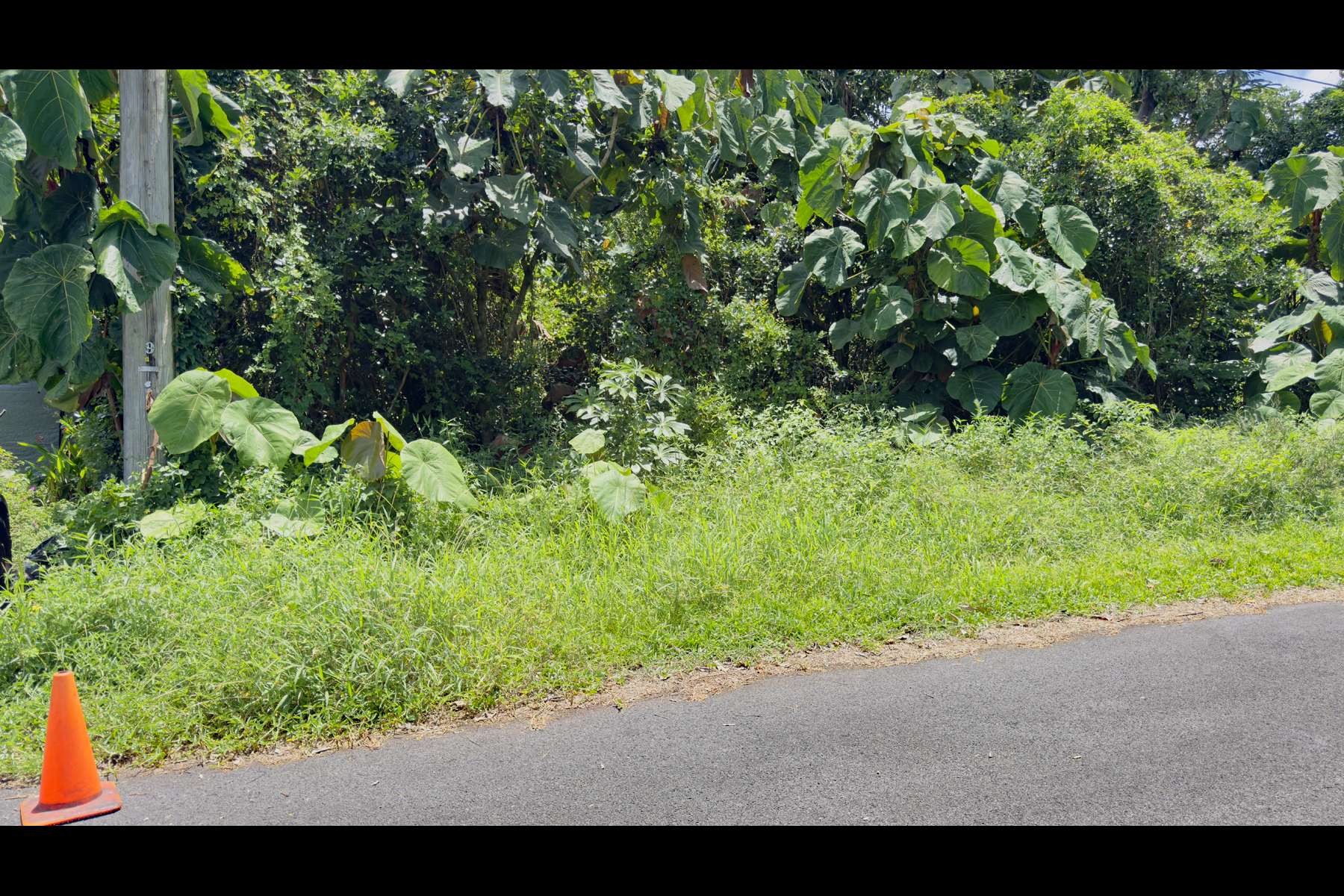 OPAKAPAKA ST, Pahoa, HI 96778